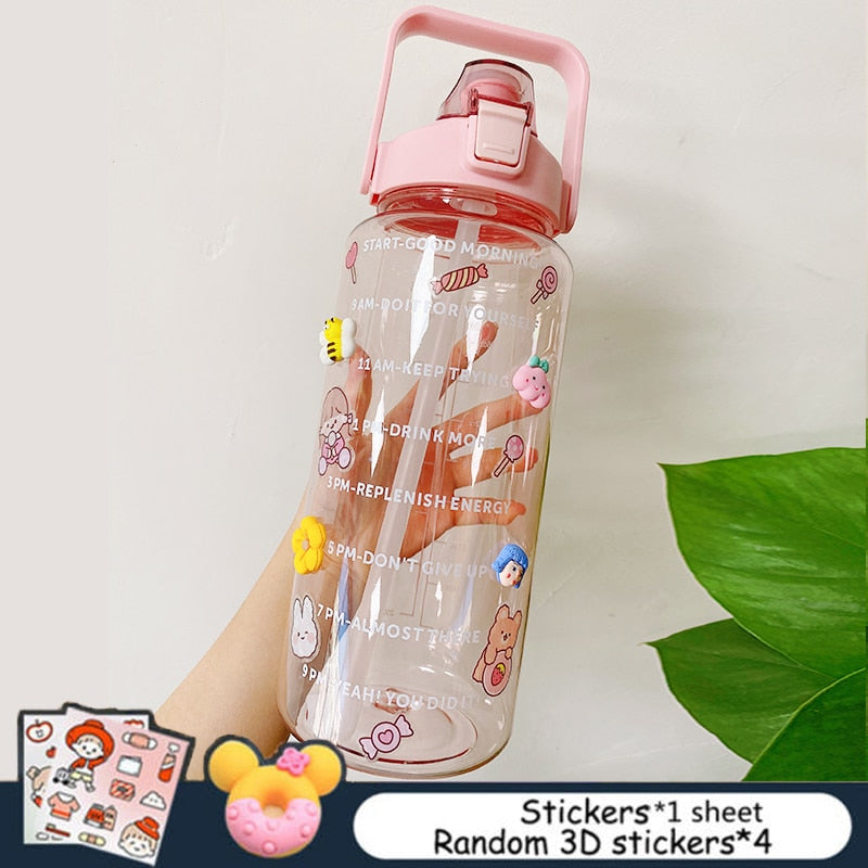 Frosted 2L Large Capacity Water Bottle With Scale Reminder